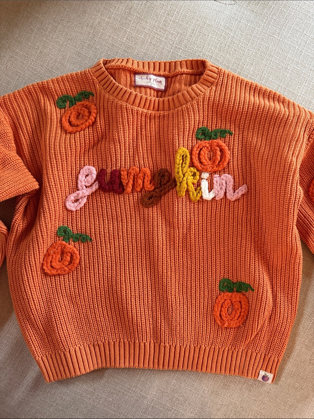 Cheeky plum Orange Chenille Pumpkin Crewneck Sweater